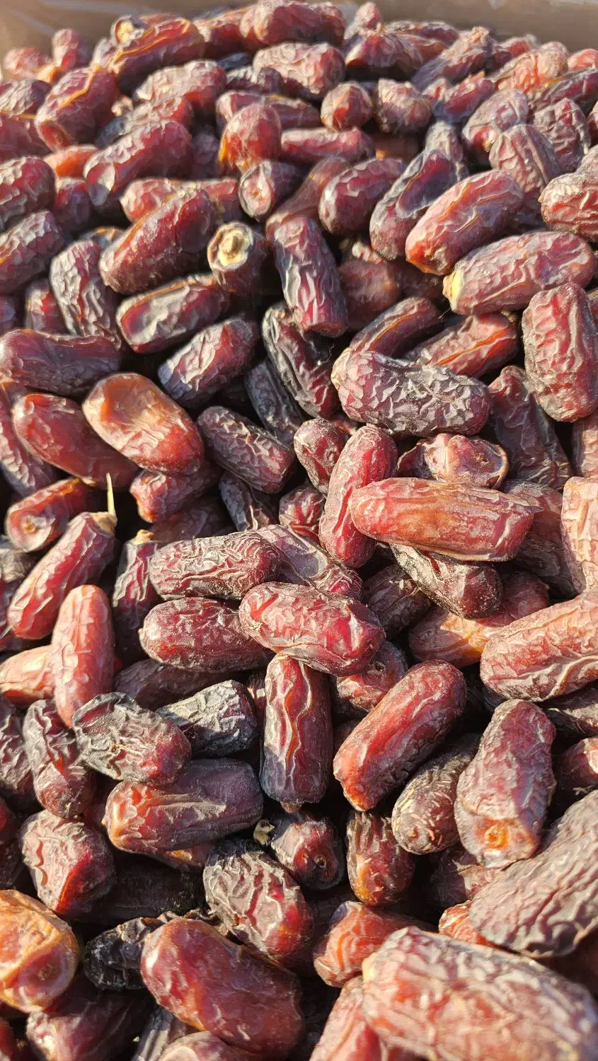 فروش تناژ خرما پیارم|خوردنی و آشامیدنی|اوز, |دیوار