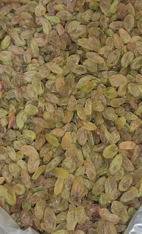 کشمش قلمی سبز کاشمر عمده|خوردنی و آشامیدنی|قم, شاه ابراهیم|دیوار