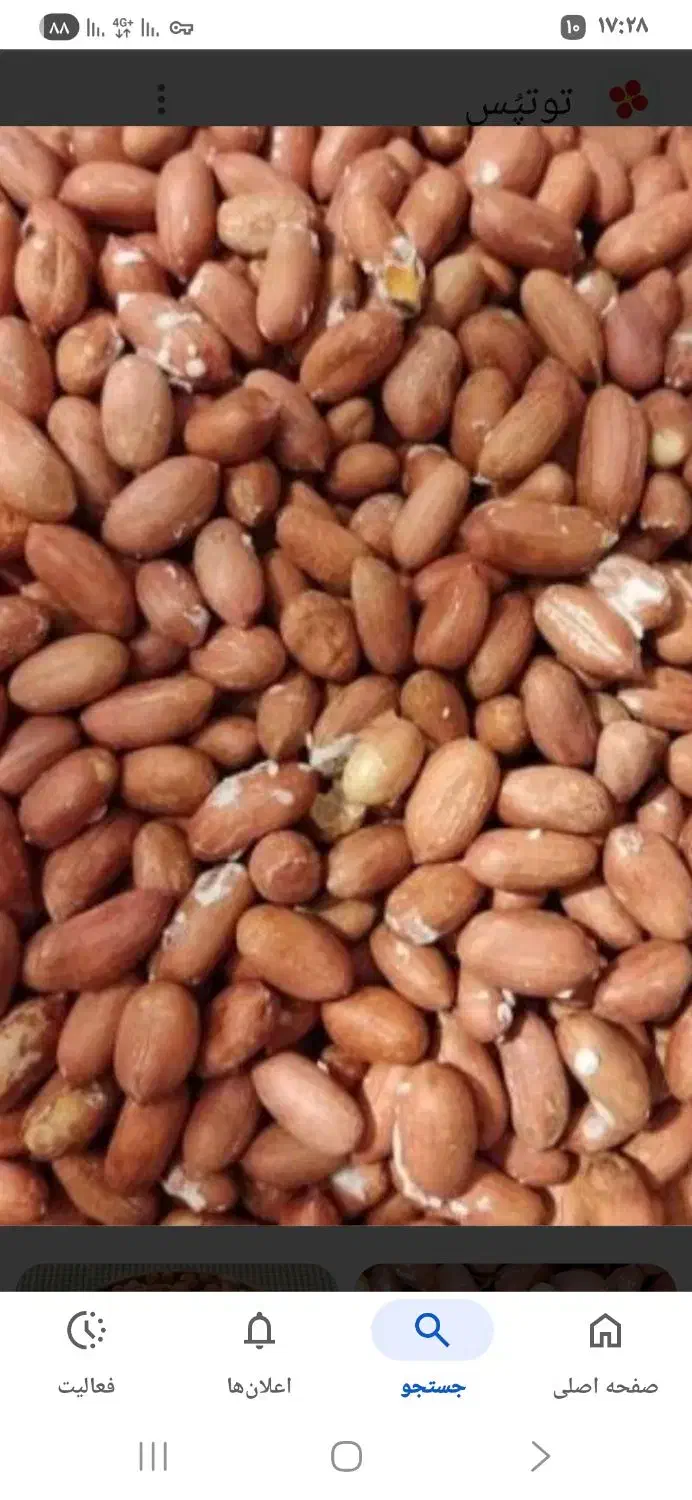 بادامزمینیخوشطعم|خوردنی و آشامیدنی|بابلسر, |دیوار