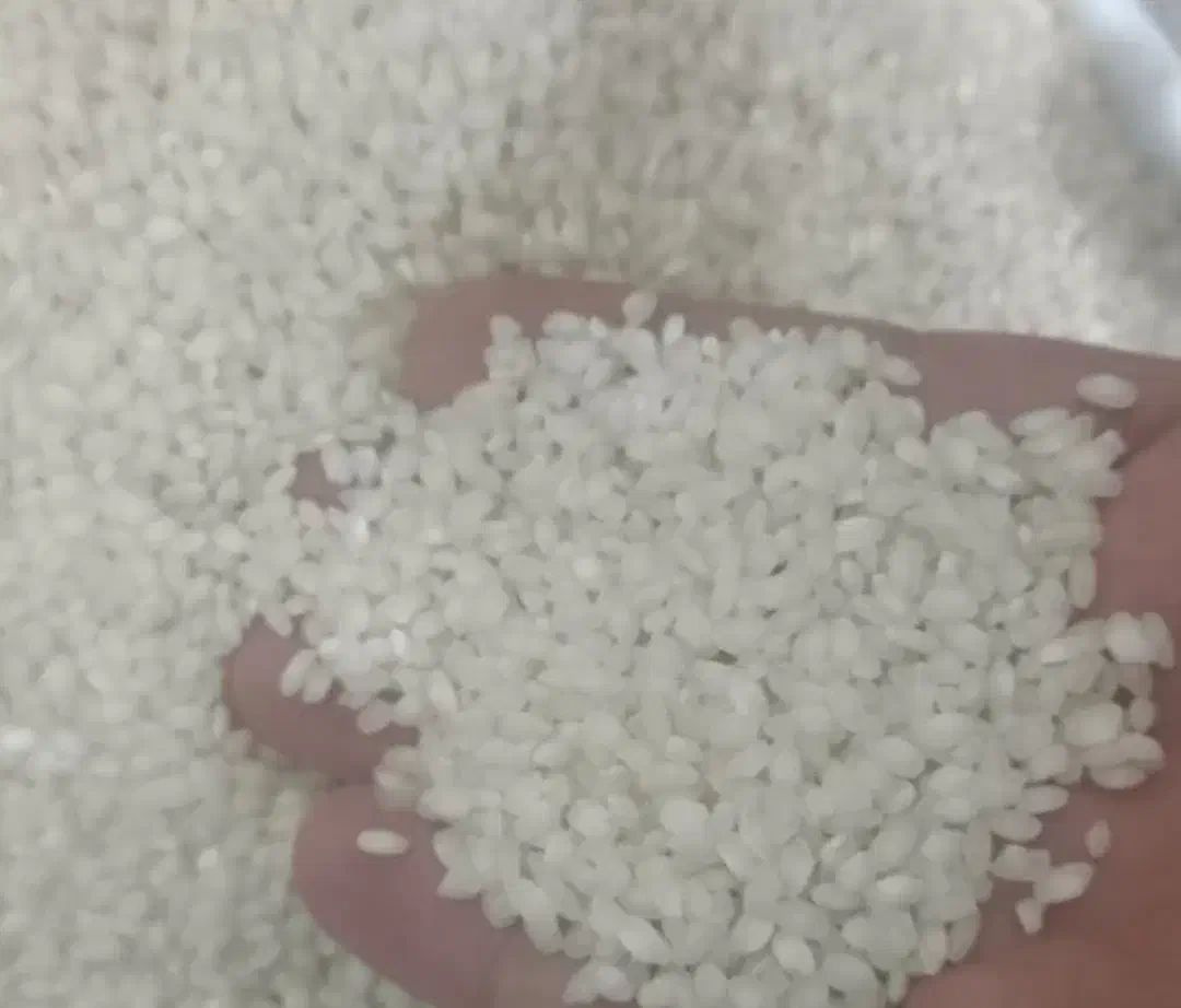 برنج آش میانه|خوردنی و آشامیدنی|میانه, |دیوار