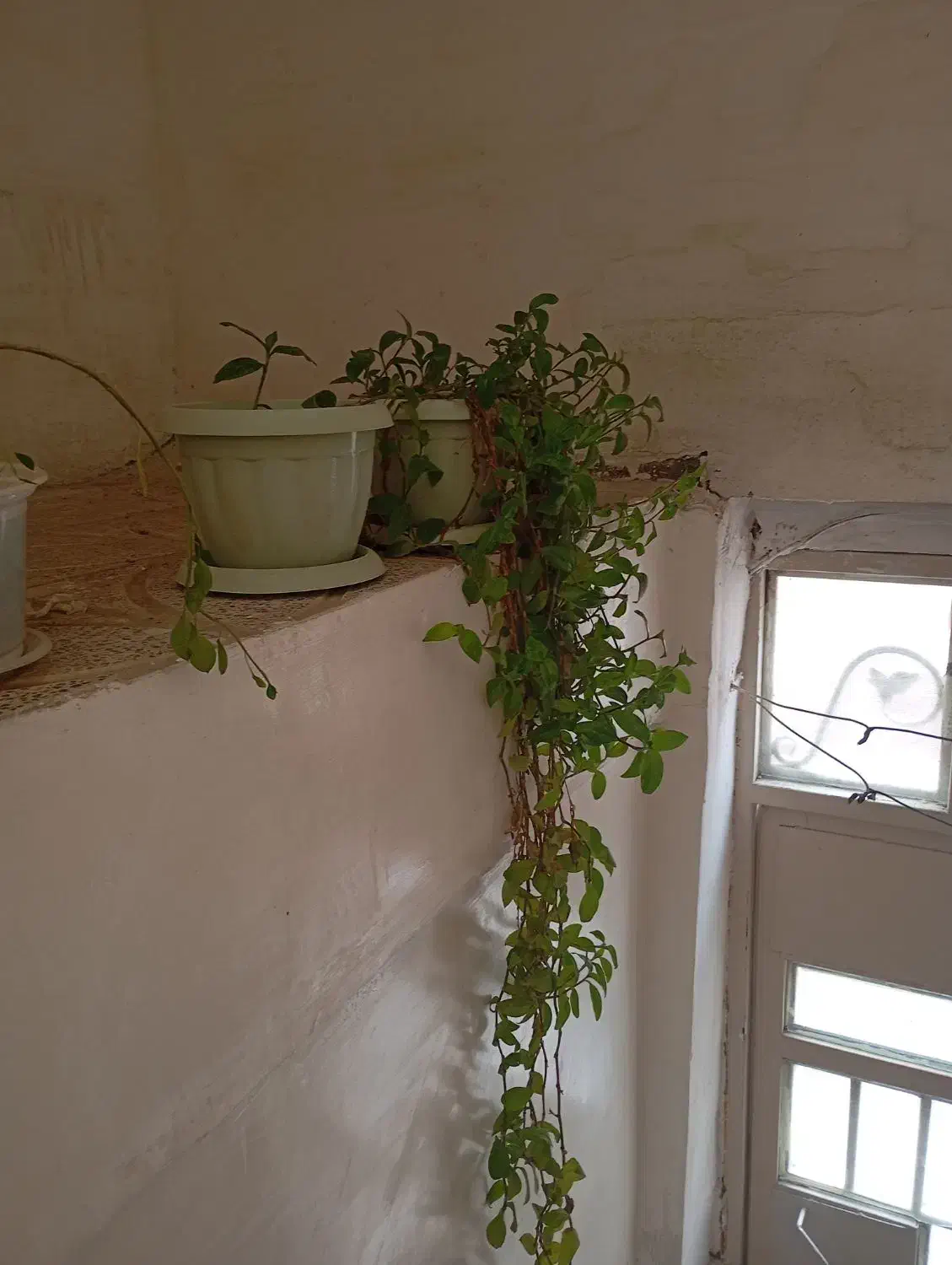 دوچرخه در حدنو|دوچرخه، اسکیت، اسکوتر|دورود, |دیوار