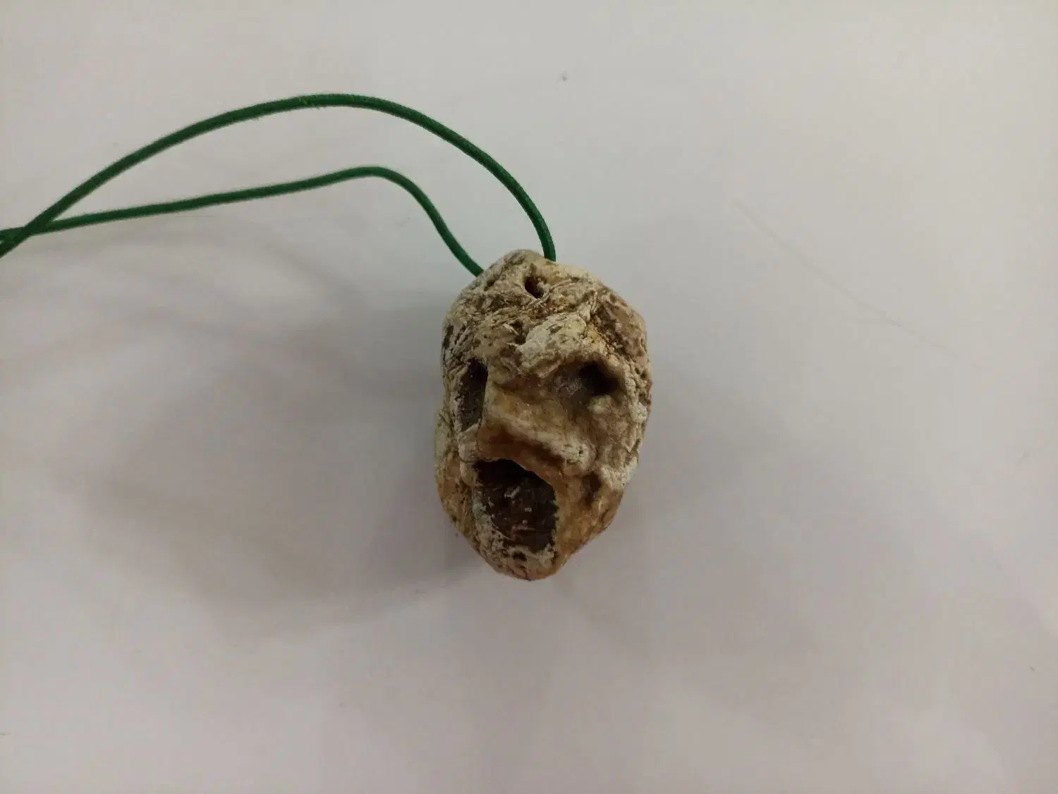 فسیل قدیمی|کلکسیون اشیاء عتیقه|سراب, |دیوار