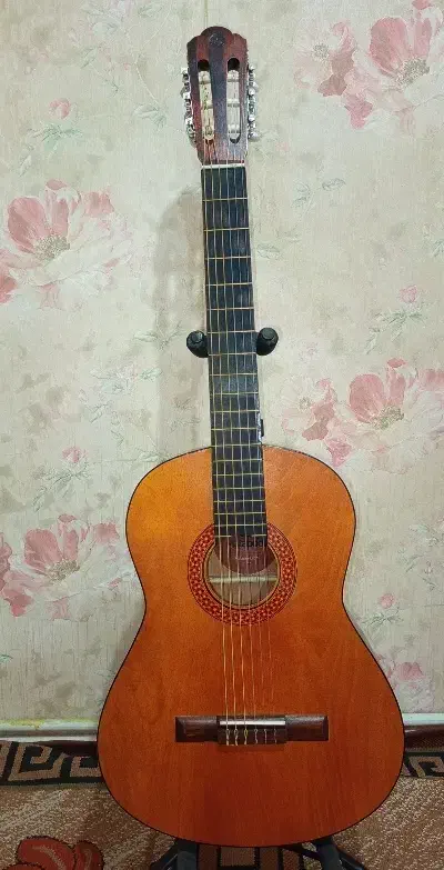 گیتار Mat2 به همراه کاور|گیتار، بیس، امپلیفایر|تربت‌حیدریه, قائم|دیوار