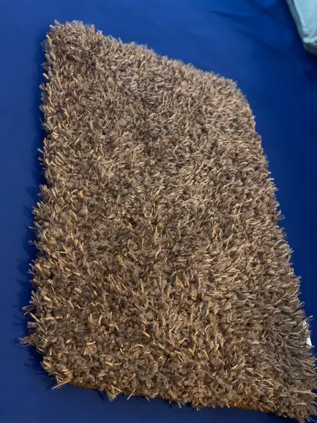 شگی|پادری|بندرعباس, |دیوار