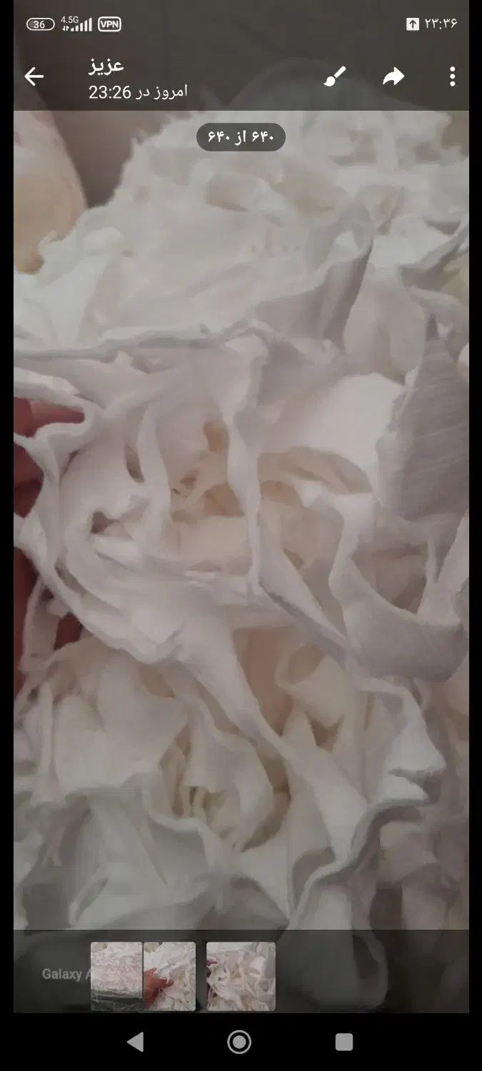 پنبه|رختخواب، بالش، پتو|بانه, |دیوار