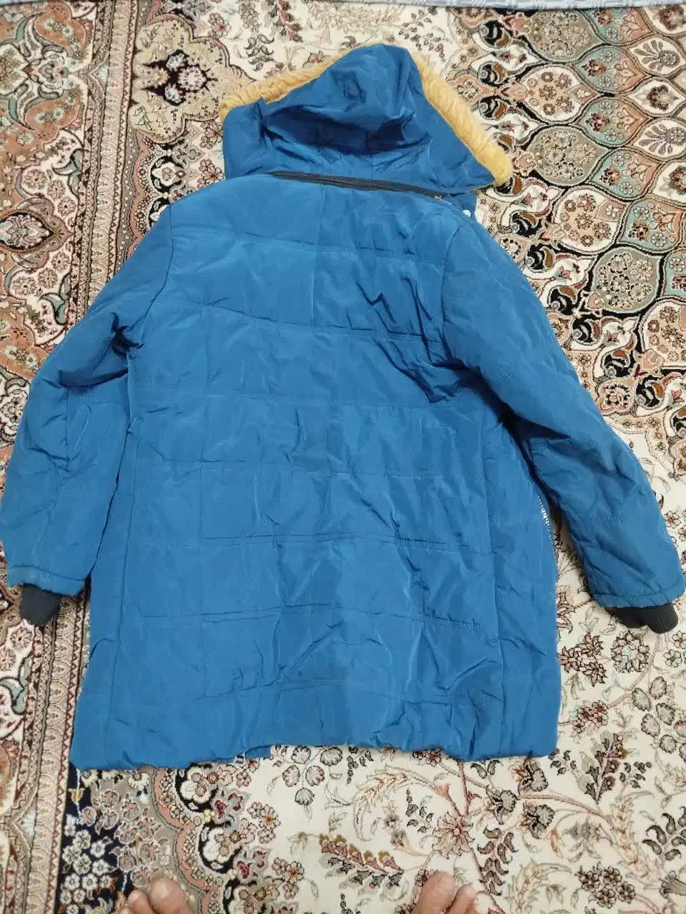 ۳ عدد کاپشن دخترانه|لباس|قائن, |دیوار