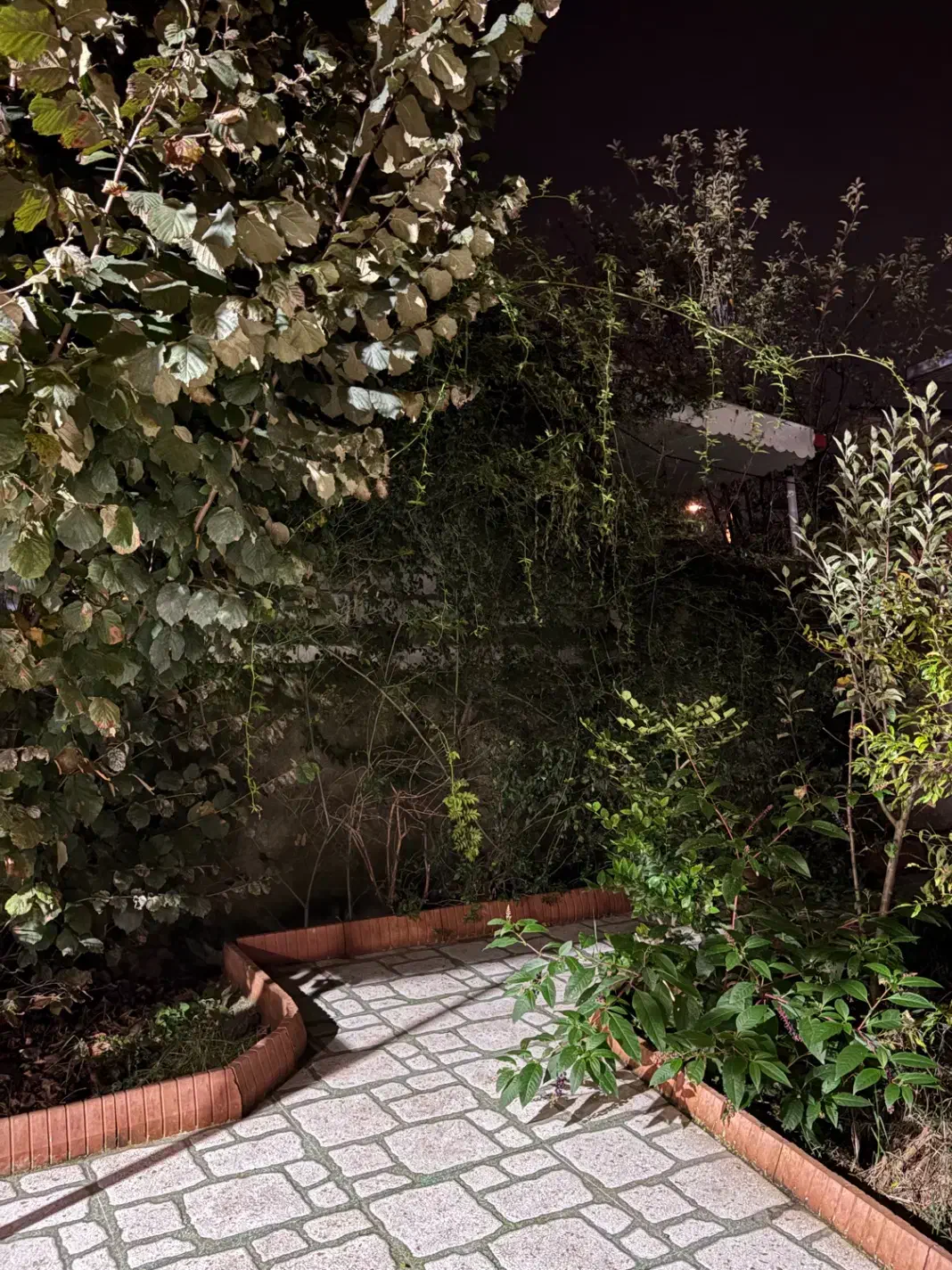 اجاره ویلای شیک در آستارا|اجارهٔ خانه و ویلا|لوندویل, |دیوار