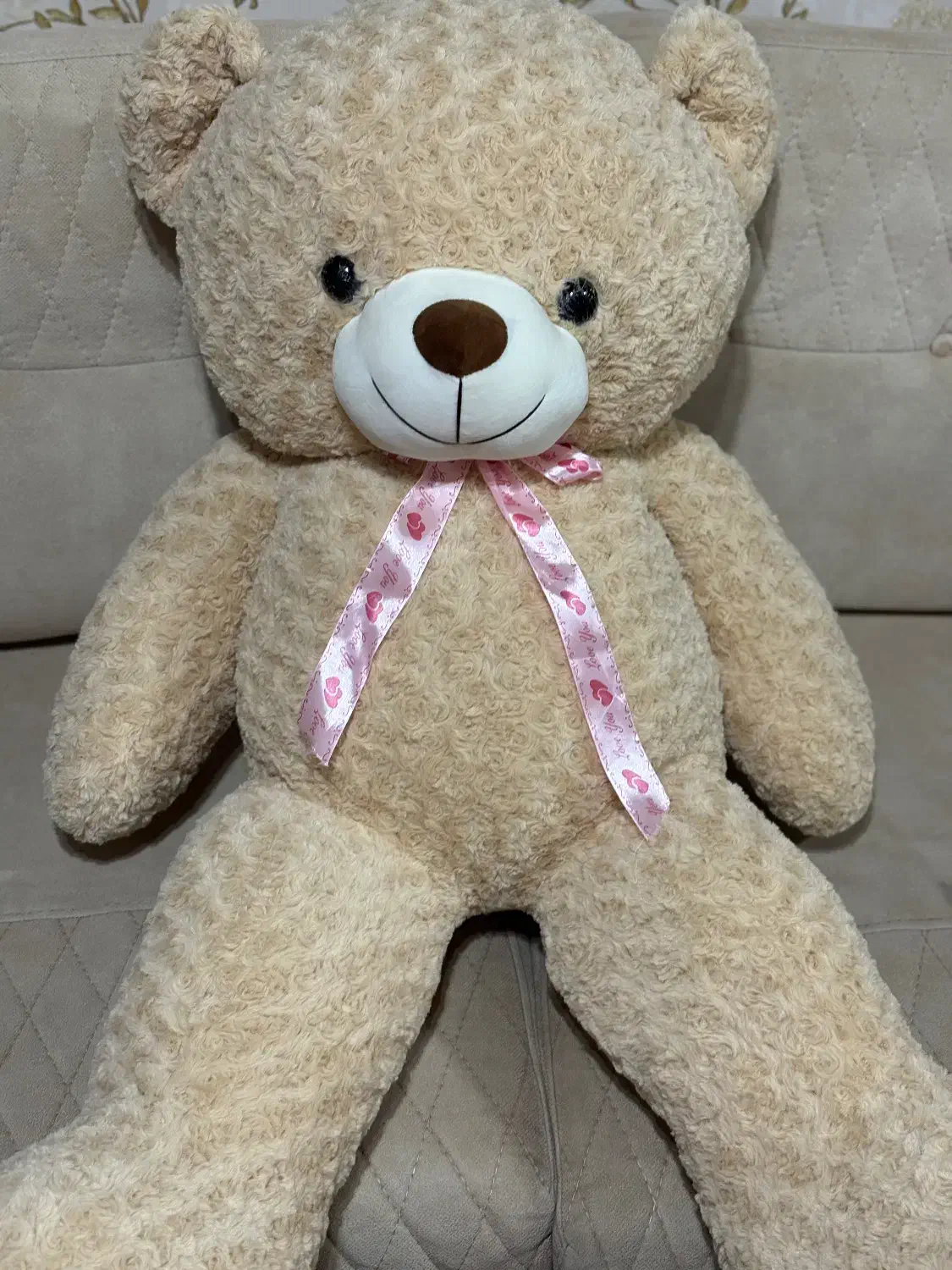 عروسک ولنتاین|اسباب‌‌بازی|بندر انزلی, لیچارگی حسن رود|دیوار