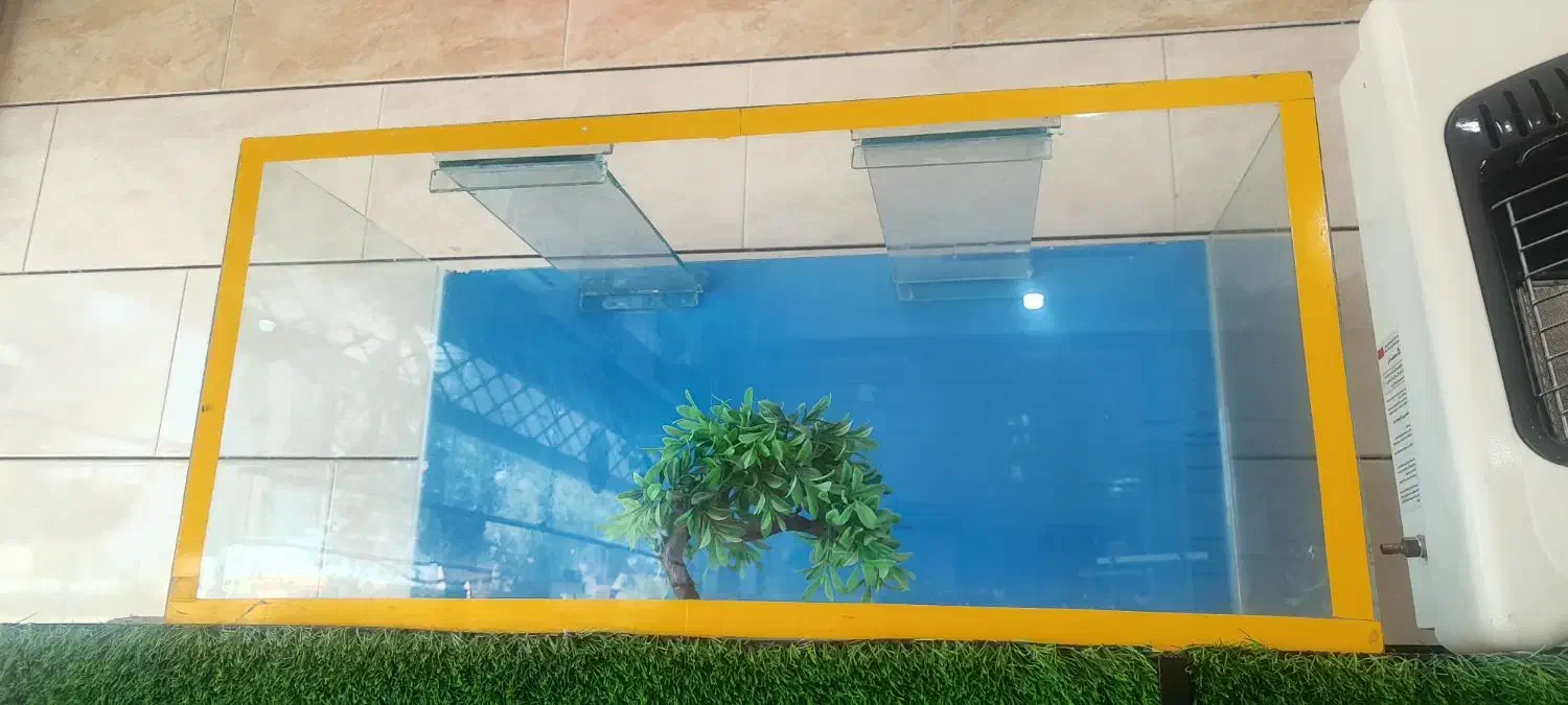 ۹عدد آکواریوم ۶میل|ماهی|گناباد, |دیوار