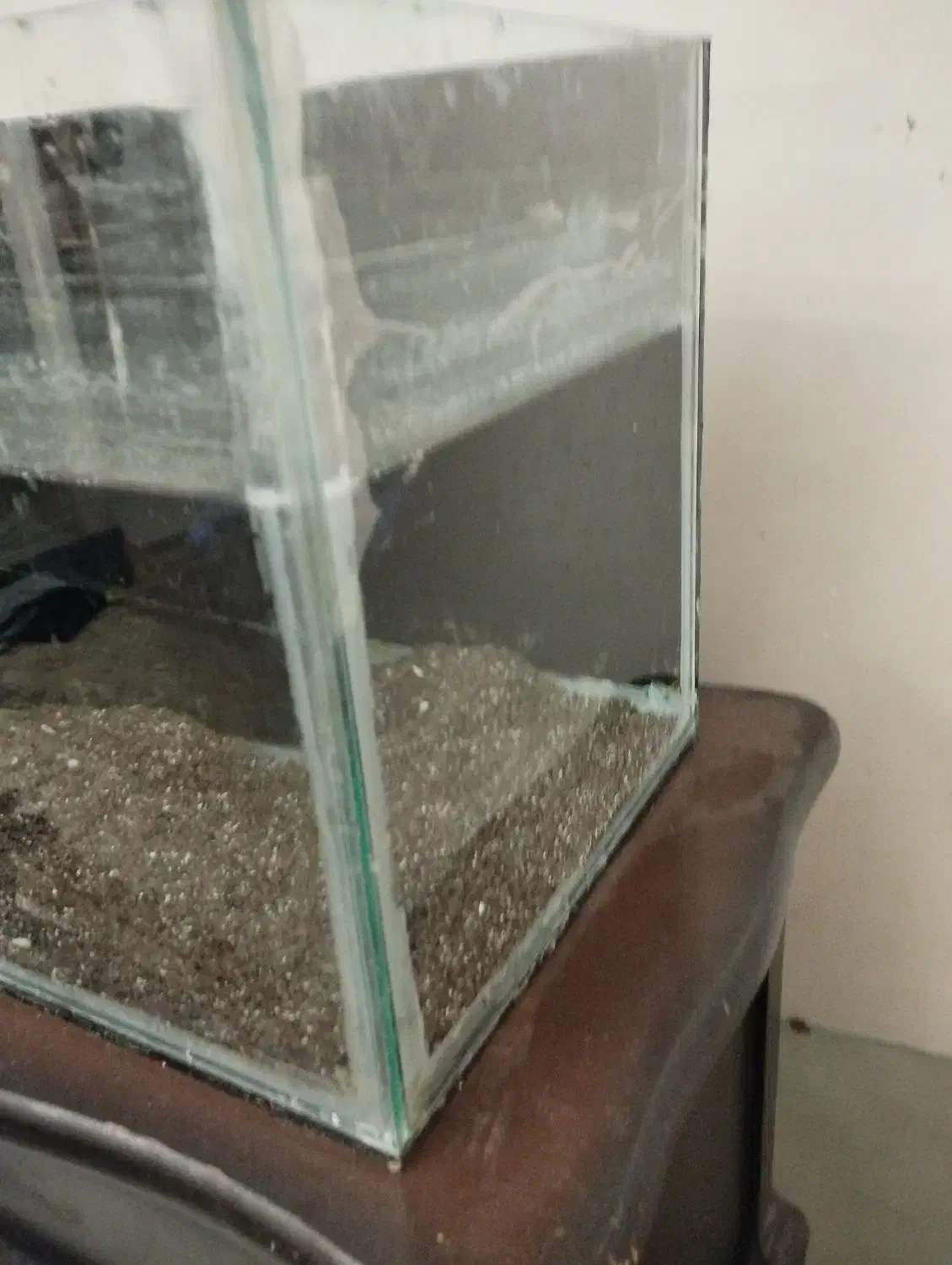 اکواریوم با لوازم|ماهی|تهران, افسریه شمالی|دیوار