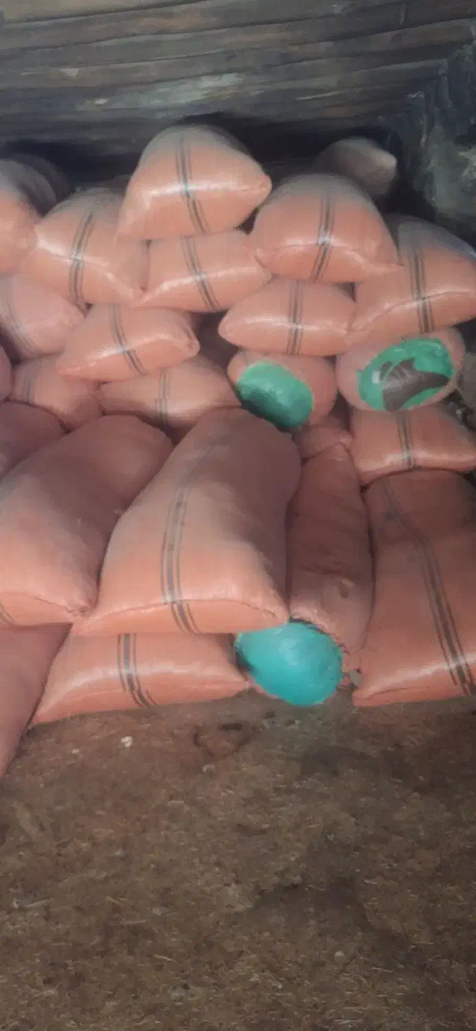 کاه|لوازم جانبی حیوانات|آبدانان, |دیوار