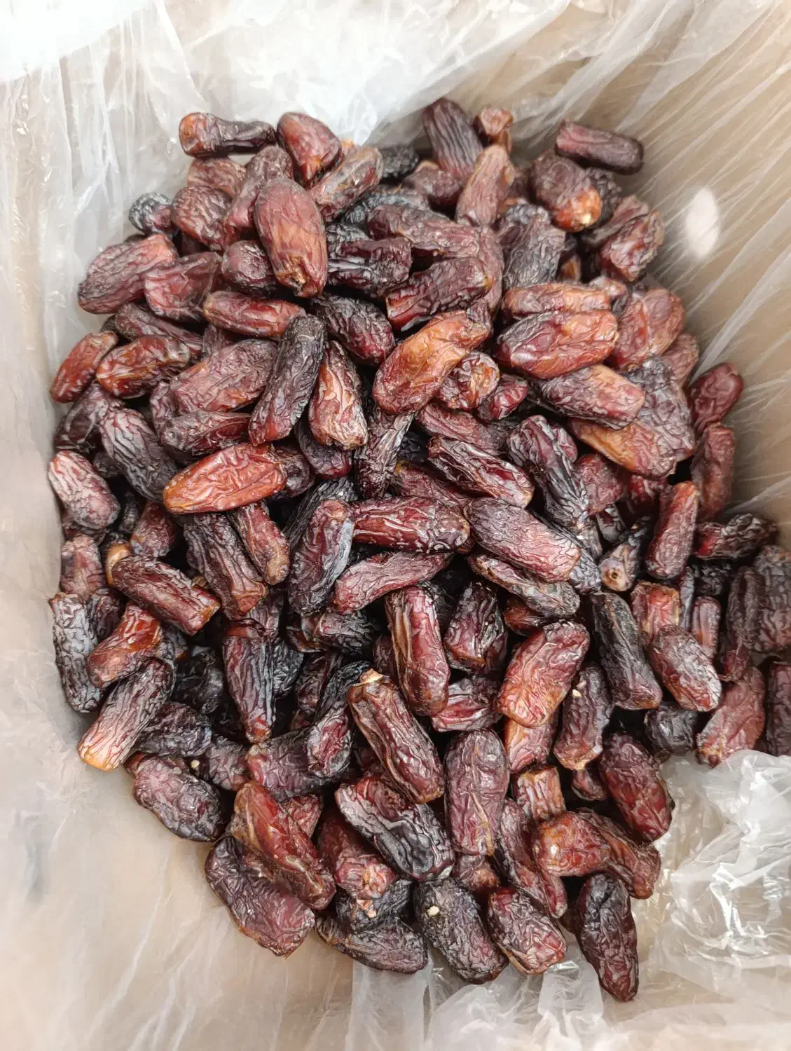 پیارم فقط 250|خوردنی و آشامیدنی|بندرعباس, |دیوار