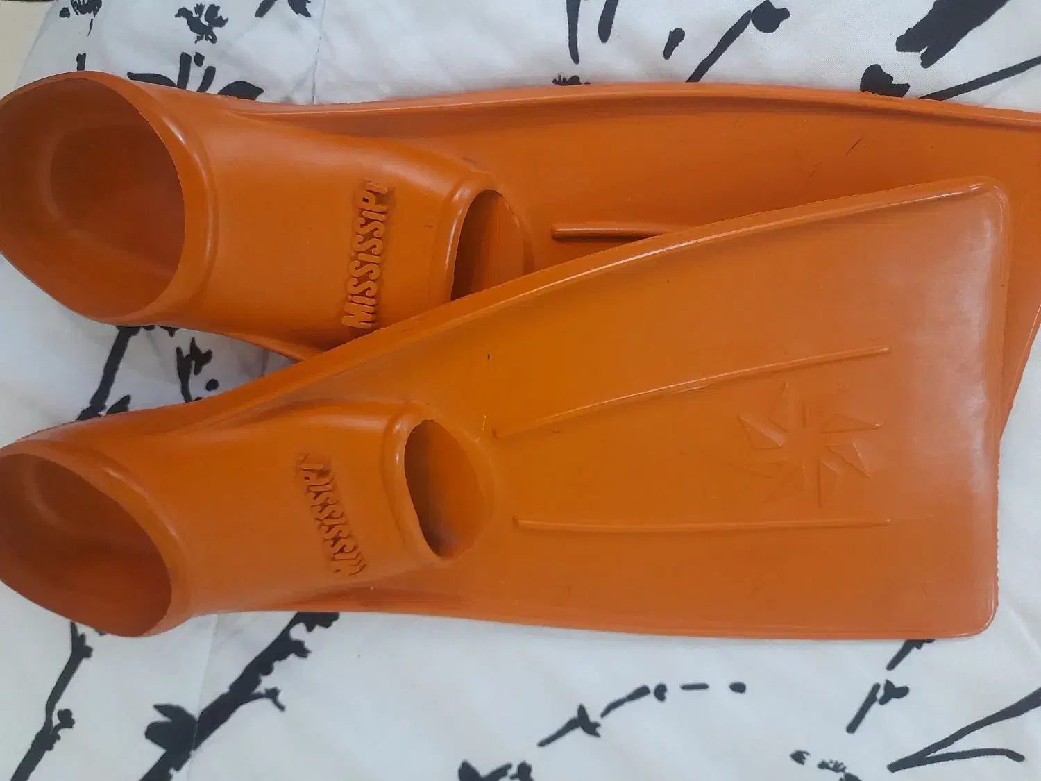 فین|غواصی و ورزش‌های آبی|کیش, |دیوار