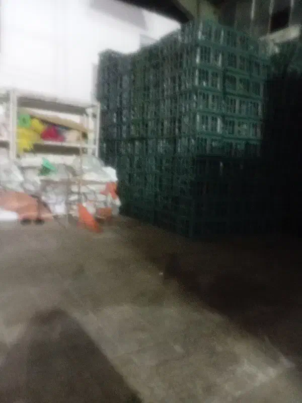 استخدامی|استخدام صنعتی، فنی، مهندسی|دزفول, |دیوار