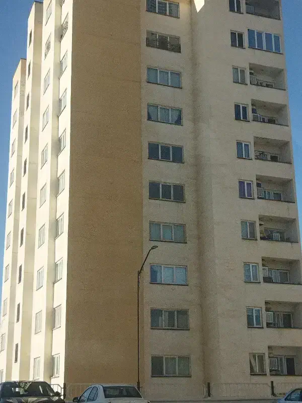 کاشی کاشیکاری سرامیک کاری سرامیک موزاییک بنایی|خدمات پیشه و مهارت|پردیس, فاز ۵|دیوار