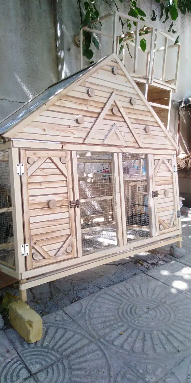 ساخت قفس چوبی|لوازم جانبی حیوانات|کرمانشاه, |دیوار