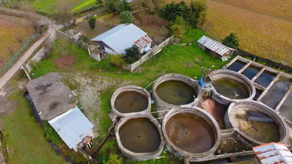 فروش استخر بتنی ۱۰ تنی ماهی قزل‌آلا با سند تک برگ|فروش دفتر صنعتی، کشاورزی، تجاری|ماسال, |دیوار