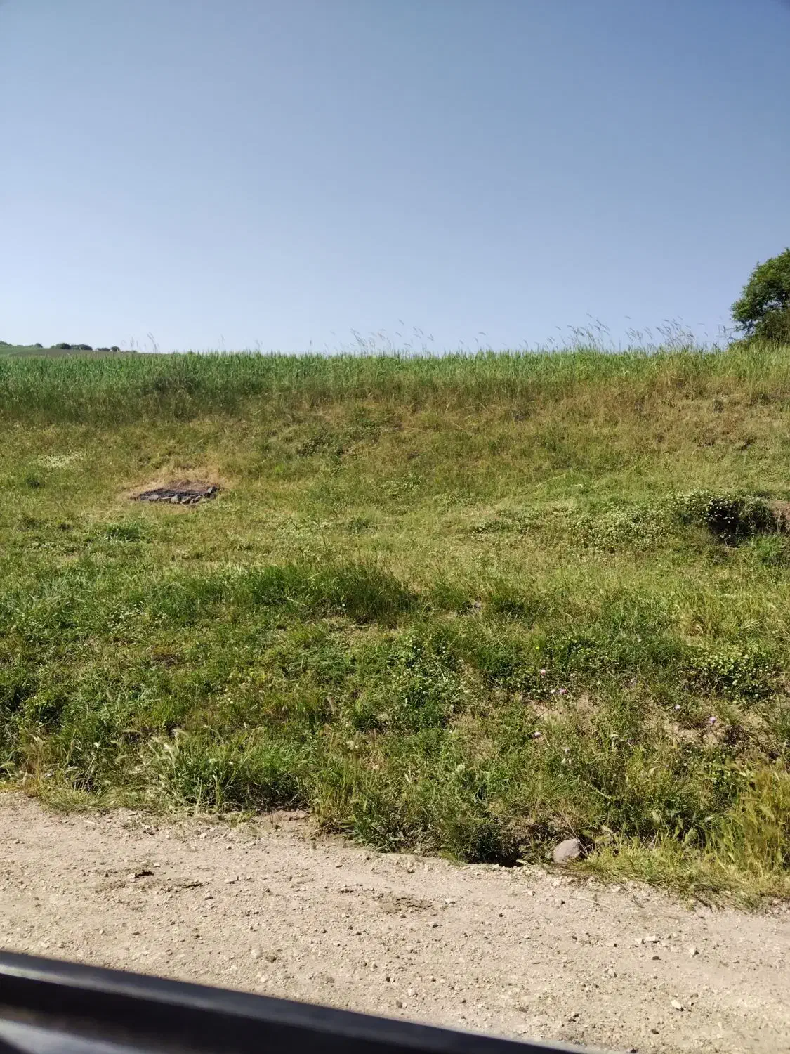 نیرو در کارگاه مواد غذایی|استخدام خدمات فروشگاه و رستوران|اردبیل, |دیوار