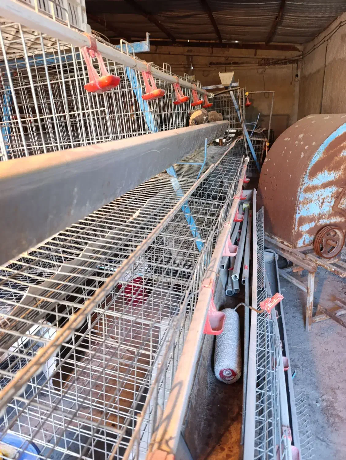 قفس مرغ تخمگزار|لوازم جانبی حیوانات|گهواره, |دیوار