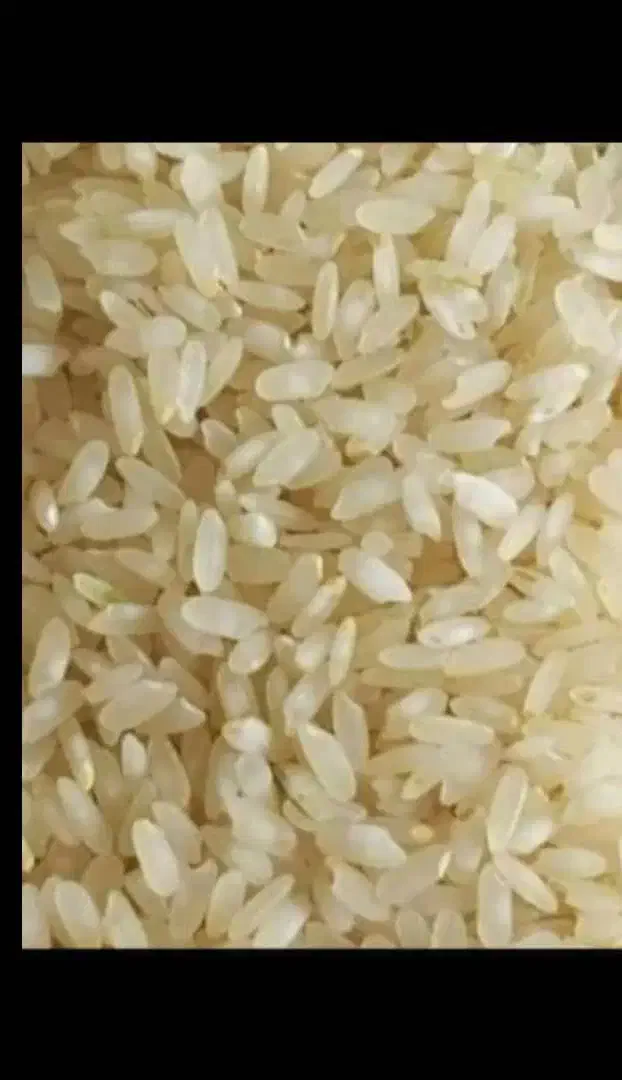 برنج کامفیروزی به شرط|خوردنی و آشامیدنی|شیراز, کوشک میدان|دیوار