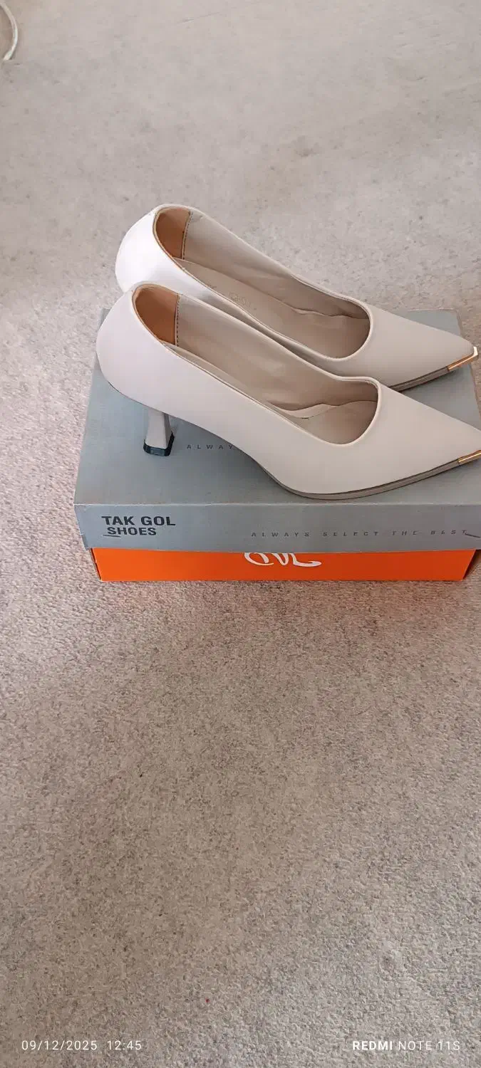 کفش مجلسی|کیف، کفش، کمربند|شیراز, کوشک میدان|دیوار