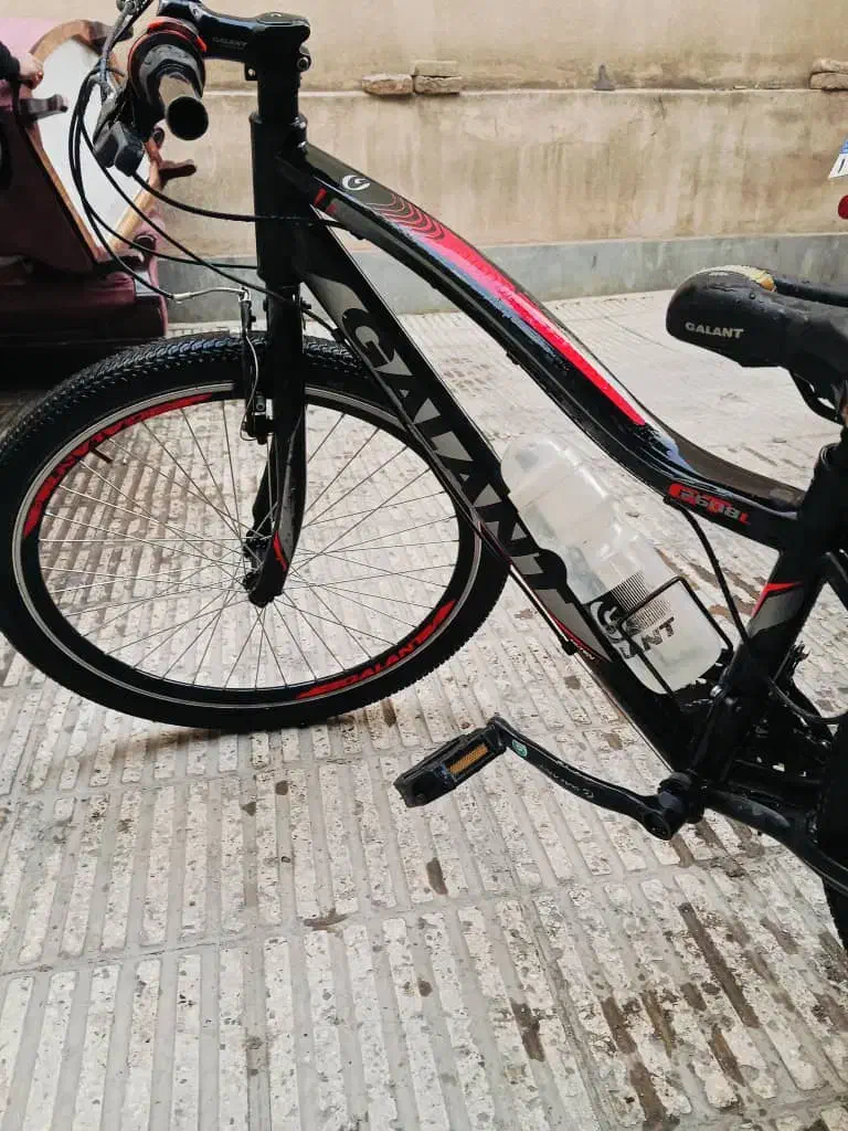 دوچرخه گالانت ۲۴|دوچرخه، اسکیت، اسکوتر|تهران, کوثر|دیوار