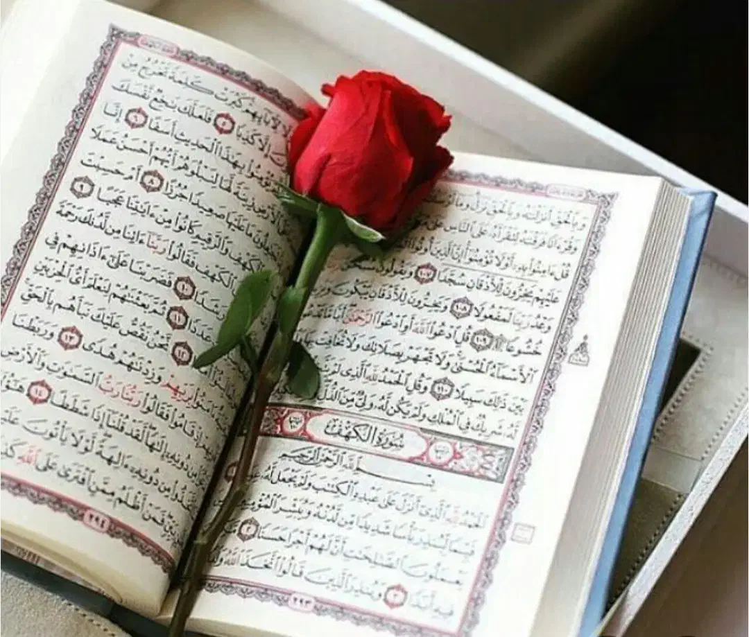 کتاب علوم غریبه|کتاب و مجله مذهبی|اهر, |دیوار