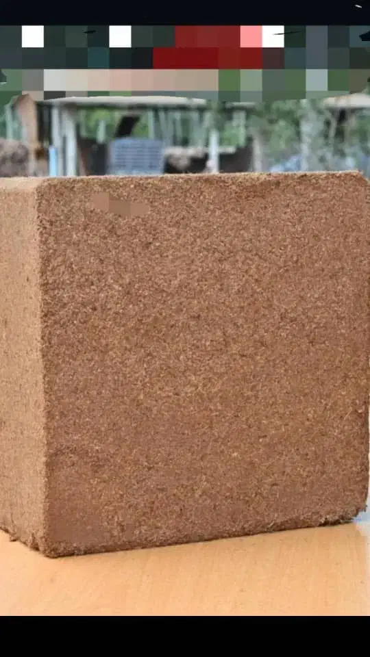 کوکوپیت سریلانکا|گل و گیاه طبیعی|گنبد کاووس, |دیوار