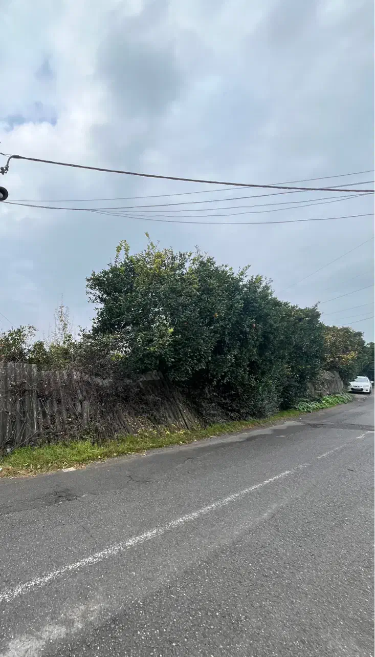 زمین ۳۰۰ متری بافت مسکونی سنددار|فروش زمین و ملک کلنگی|شیرود, |دیوار