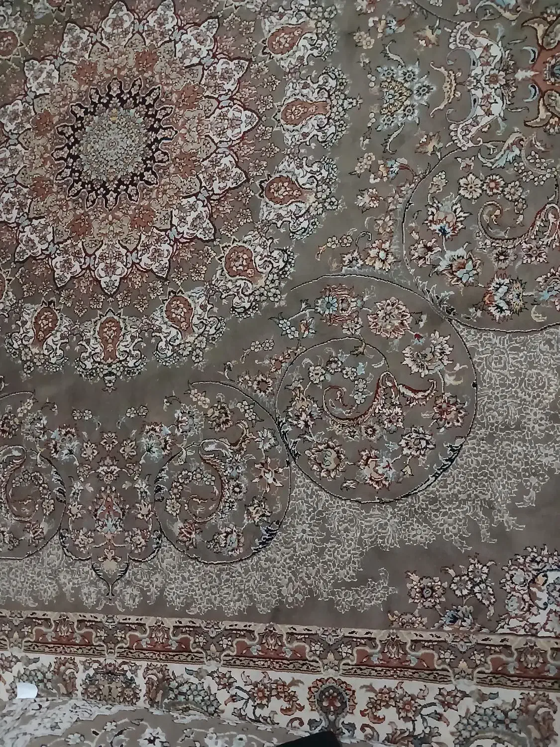 فروش فرش ۱۲متری|فرش|بیرجند, |دیوار