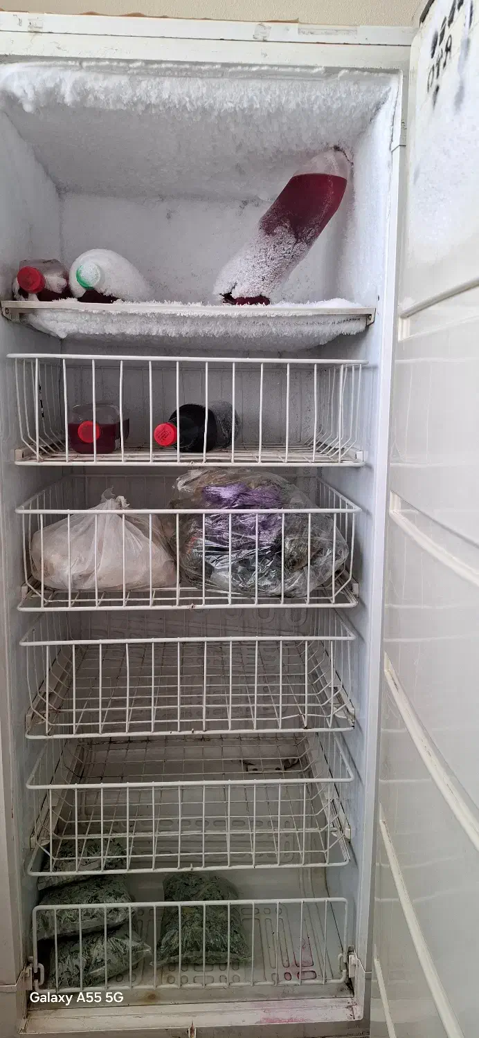 فریزر|یخچال و فریزر|شیراز, بریجستون|دیوار