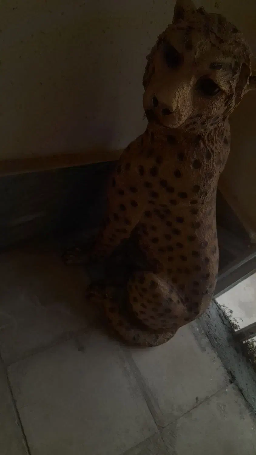 پلنگ|مجسمه، تندیس، ماکت|شیراز, شهرک سراج|دیوار