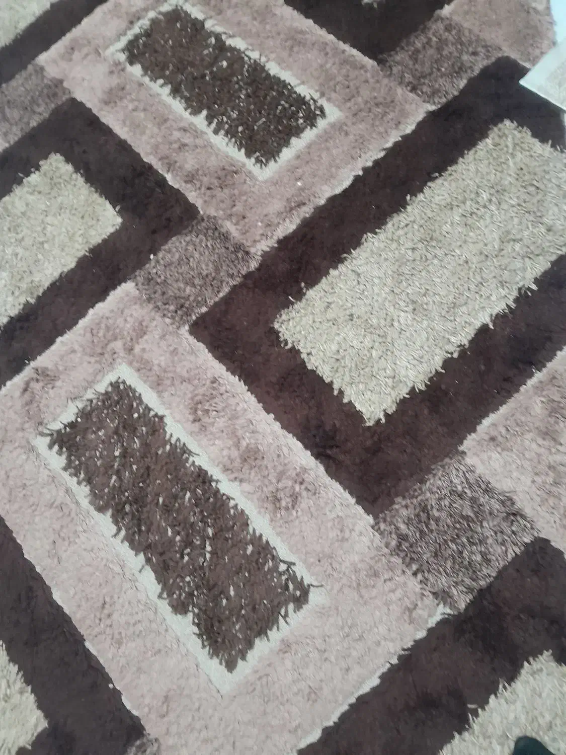 دوعددفرش|فرش|بومهن, |دیوار