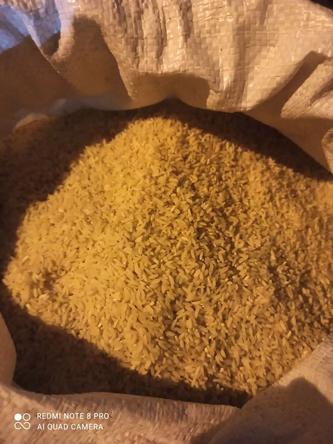 برنج لنجان|خوردنی و آشامیدنی|اصفهان, باغ زرشک|دیوار