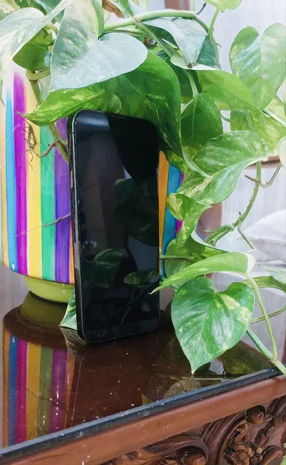 پرومکس ۱۳|موبایل|فومن, |دیوار