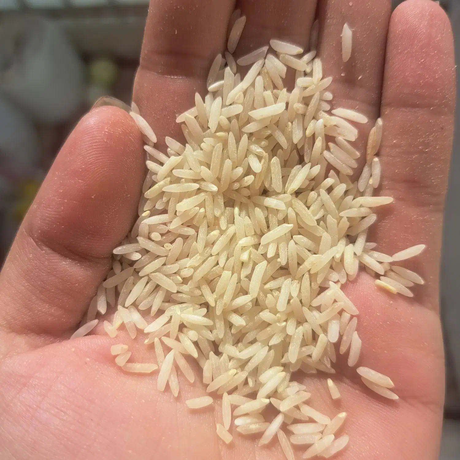 برنج|خوردنی و آشامیدنی|قرچک, باقرآباد|دیوار