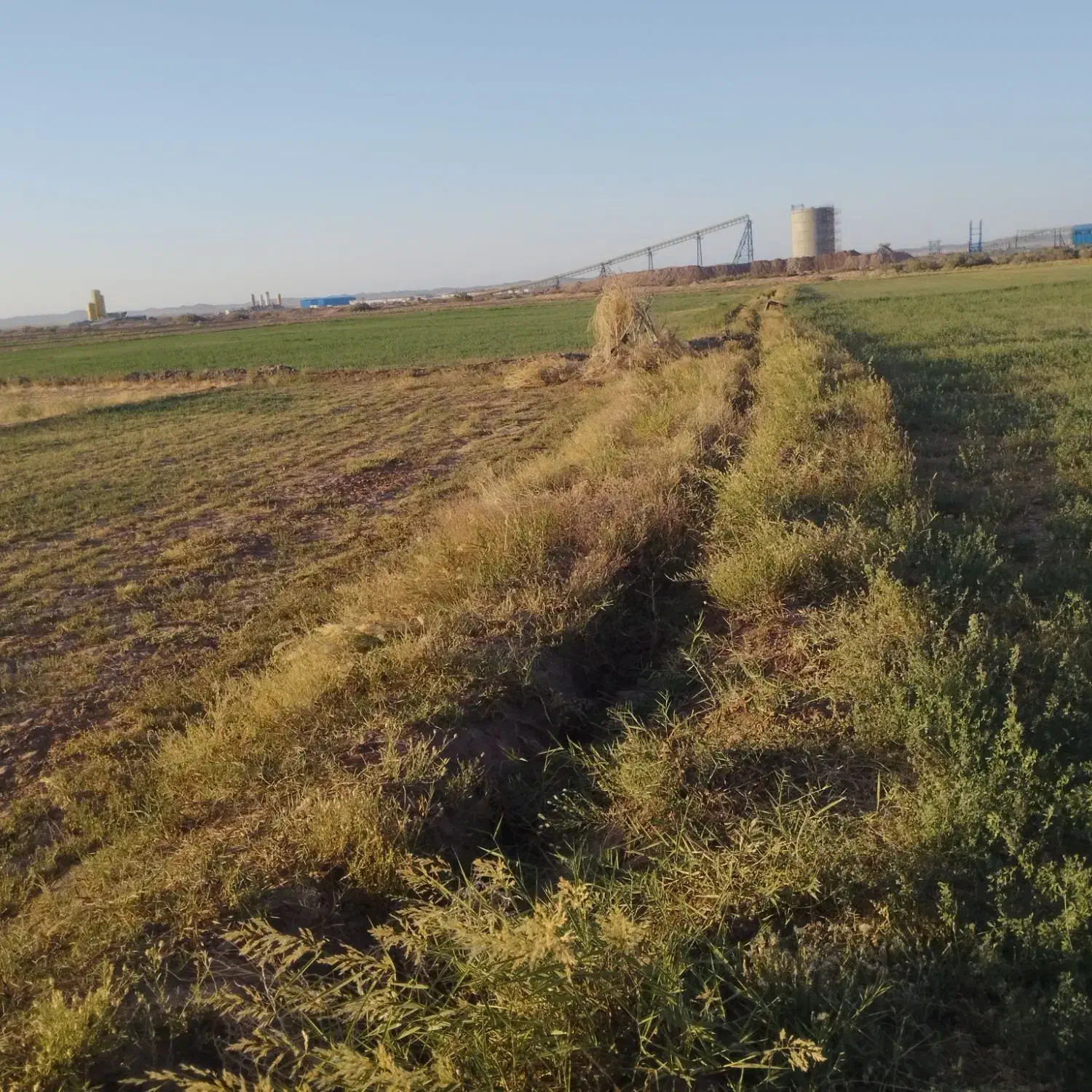 مقدار ۱۲ساعت آب چاه موتور ملکی  ب همراه زمین|فروش زمین و ملک کلنگی|جلگه رخ, |دیوار