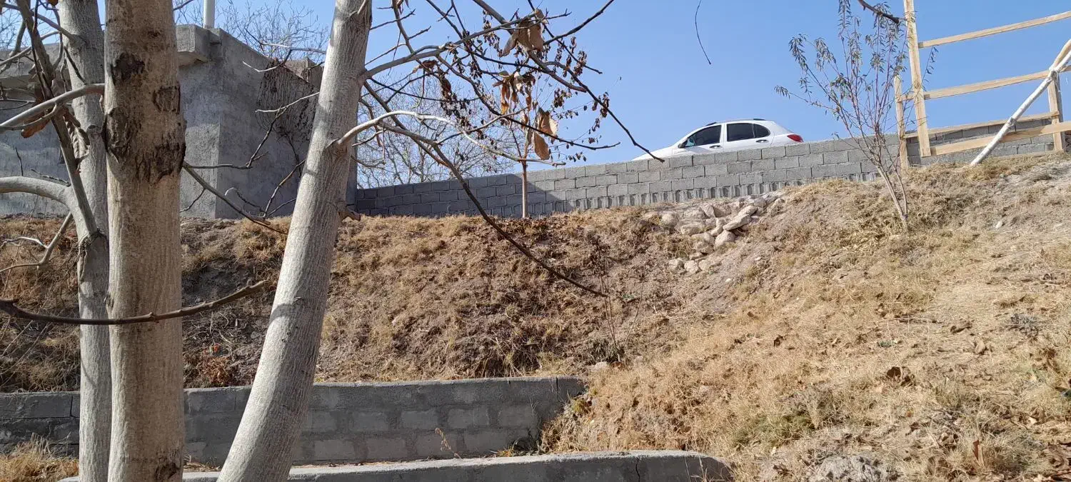 باغ ۸ من صفا باغی|فروش زمین و ملک کلنگی|بناب, |دیوار