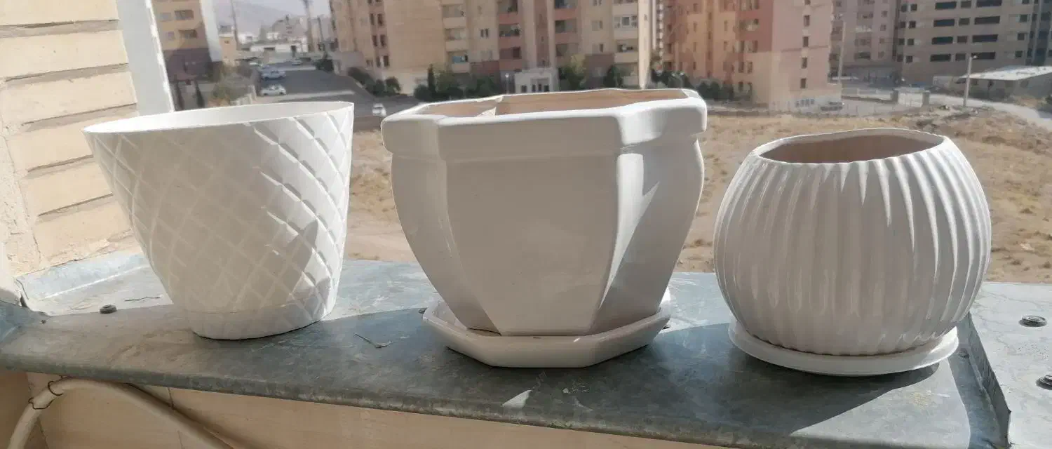 گلدان|گل و گیاه طبیعی|صدرا-فارس, فاز ۱|دیوار