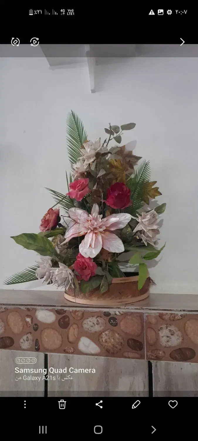 گل گلدون ۳۵۰تومن|گل و گیاه طبیعی|تایباد, |دیوار