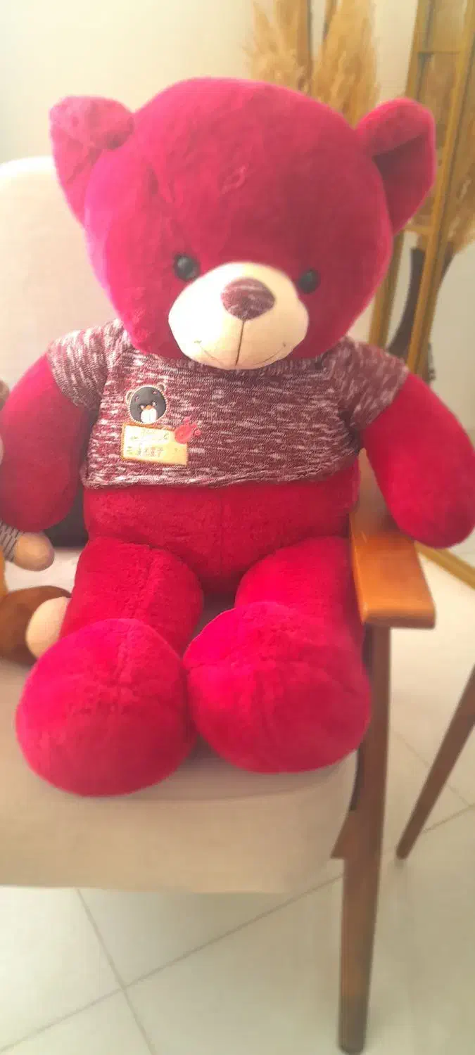 دوعدد عروسک سالم|اسباب‌‌بازی|بوئین زهرا, |دیوار