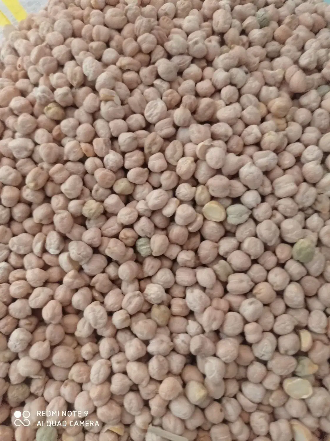 حبوبات درجه یک|خوردنی و آشامیدنی|شیراز, عادل آباد|دیوار