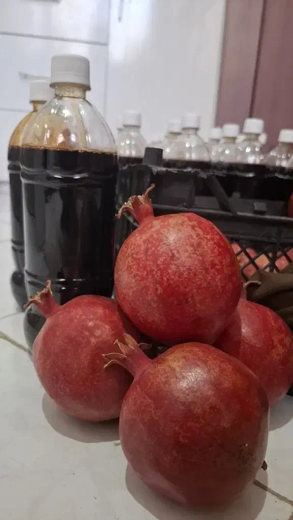 رب انار بجستان|خوردنی و آشامیدنی|مشهد, کوی المهدی|دیوار