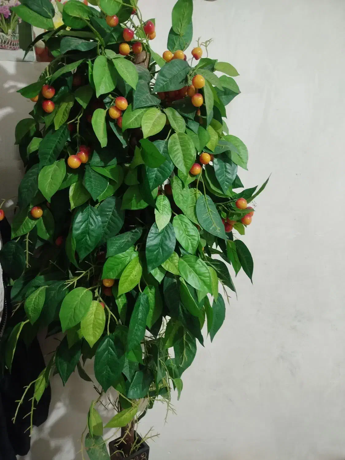 درخت گیلاس|گل مصنوعی|بندر ماهشهر, |دیوار