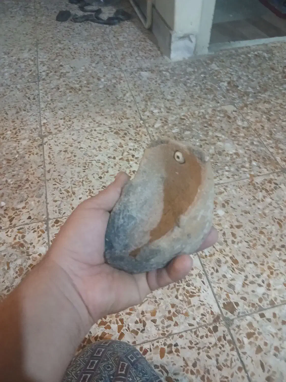 اشیا قدیمی|کلکسیون اشیاء عتیقه|تهران, علم و صنعت|دیوار