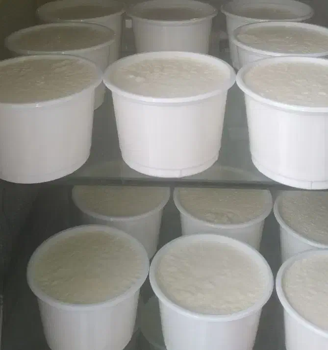 همکار خانوم برای لبنیاتی|استخدام خدمات فروشگاه و رستوران|مشگین شهر, |دیوار