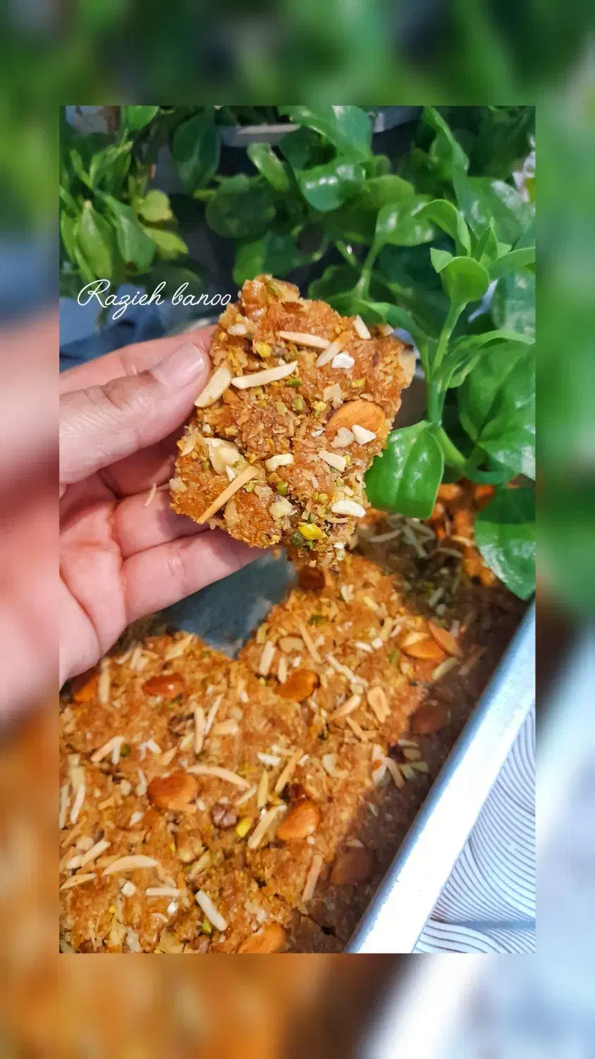 کیک وشیرینی خونگی|خوردنی و آشامیدنی|یزد, |دیوار