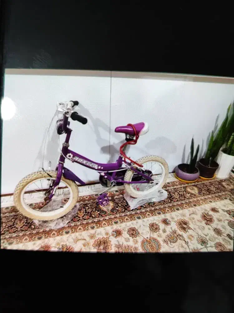 دوچرخه دخترانه کاملا سالم|دوچرخه، اسکیت، اسکوتر|صدرا-فارس, فاز ۱|دیوار