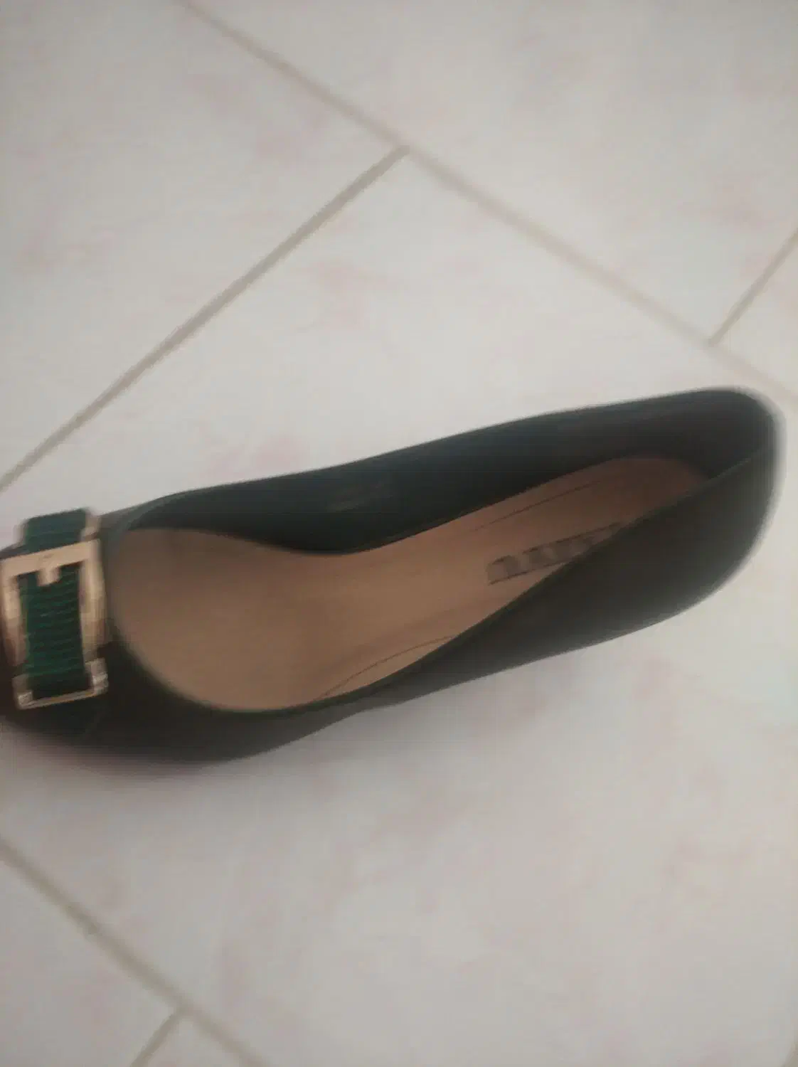 کفش|کیف، کفش، کمربند|شهرکرد, |دیوار