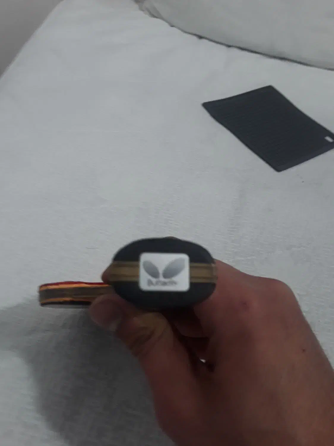 راکت پینگ پونگ (Speedy FL)|ورزش‌های توپی|صدرا-فارس, فاز ۱|دیوار